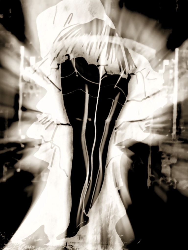 LES JAMBES DES FEMMES 14