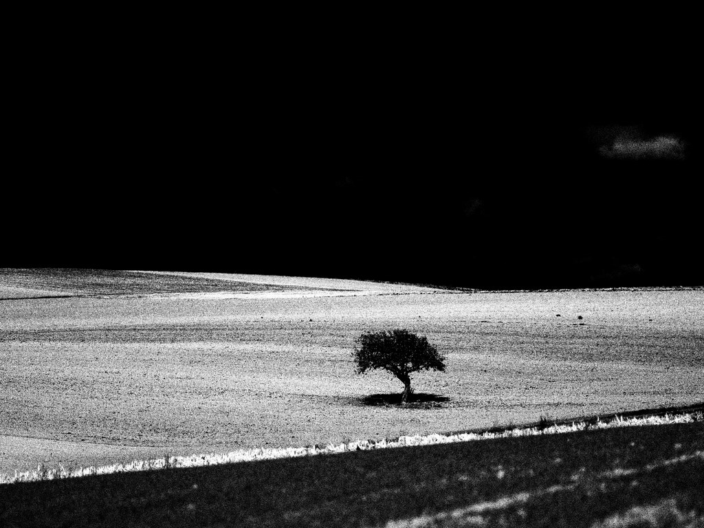 ART PHOTOGRAPHY LONELY