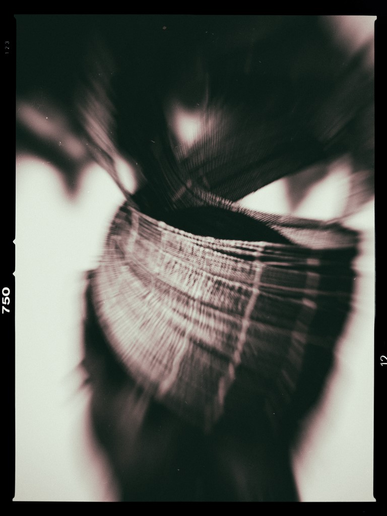 ART PHOTOGRAPHY HEADDRESS # 01