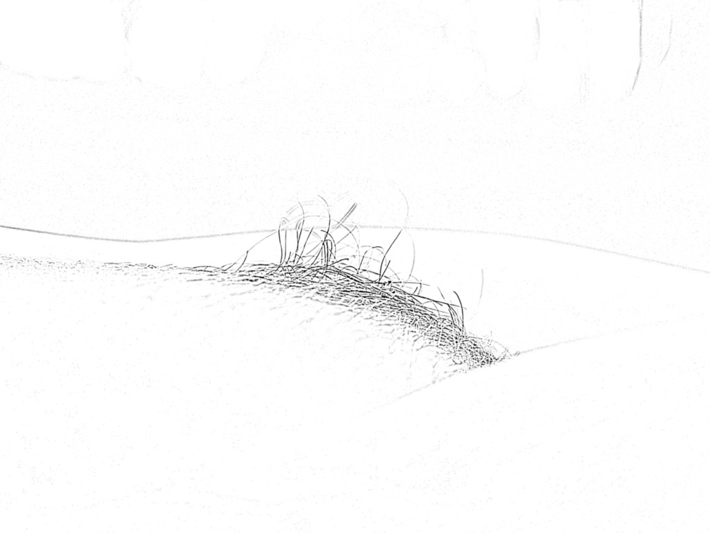 ART DRAWING DELICATE