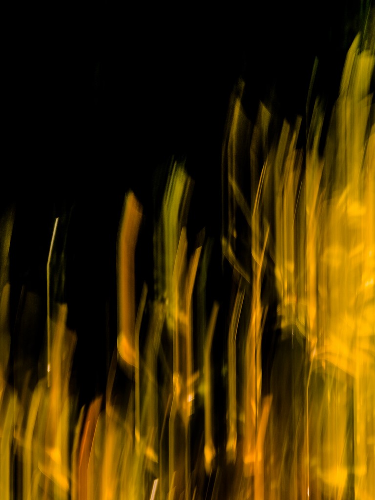 "Eveil du printemps 02"
