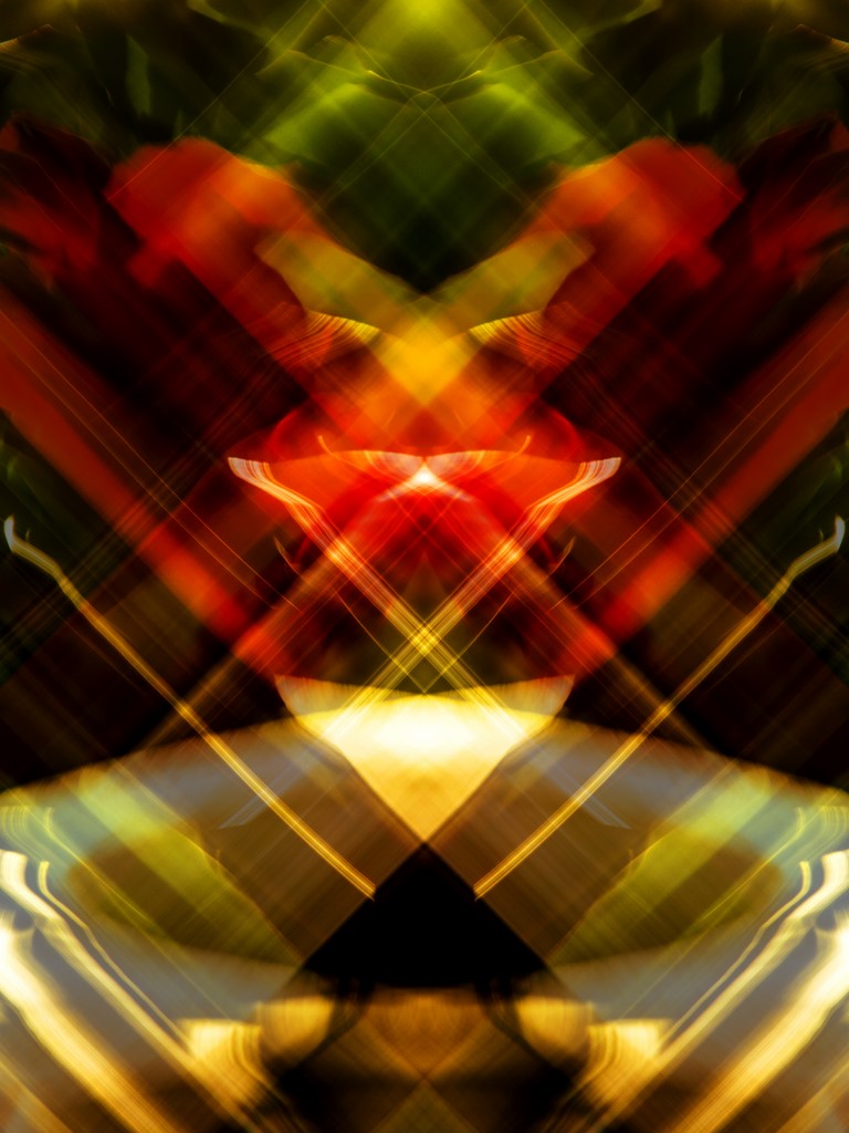 "Eveil du printemps 07"