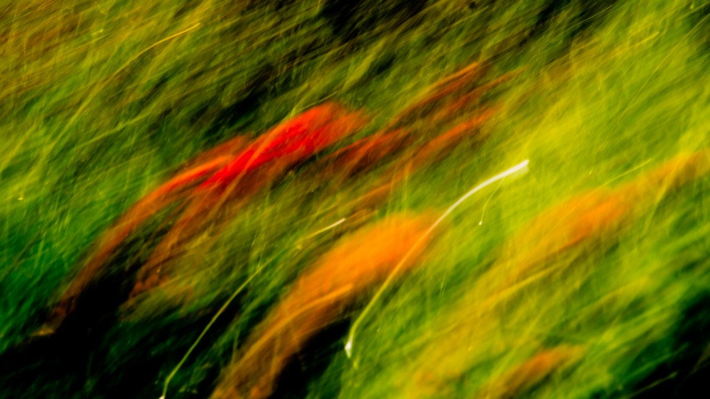 Eveil du printemps