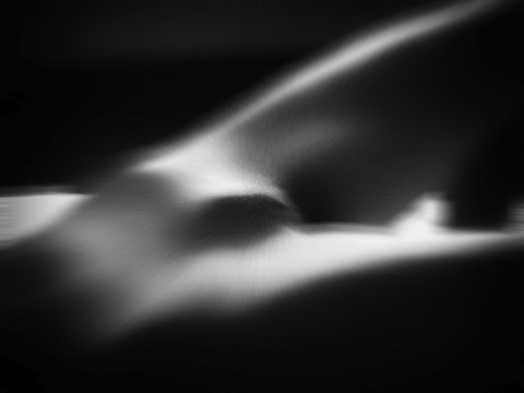 ART PHOTO VENUS
