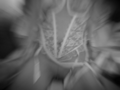 ART PHOTO IM RAUSCH DER SINNE