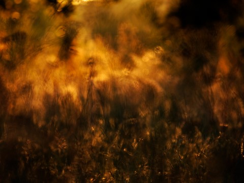 ART PHOTOGRAPHY LUMIERES DE LA PRE