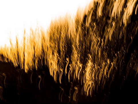 ART PHOTO LE CONCERT DE LUMIÈRE # 10