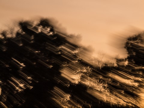 ART PHOTO LE CONCERT DE LUMIÈRE # 16