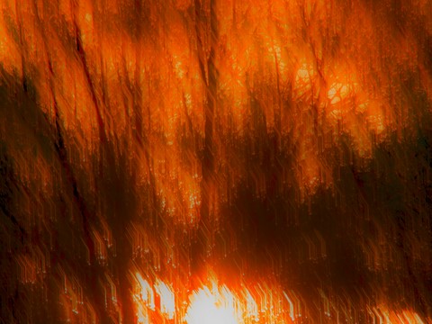 ART PHOTO LE CONCERT DE LUMIÈRE # 02