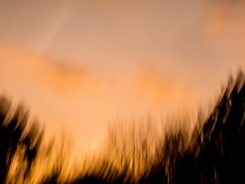 ART PHOTO LE CONCERT DE LUMIÈRE # 24