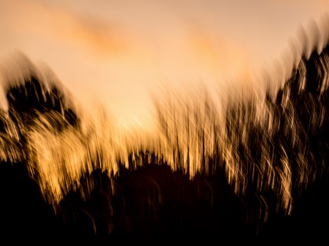 LE CONCERT DE LUMIÈRE # 28