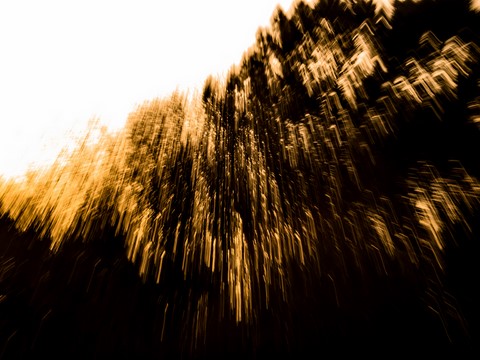 ART PHOTO LE CONCERT DE LUMIÈRE # 8