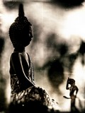 ART PHOTOGRAPHY THE SNAKE MAN GREETS BUDDHA